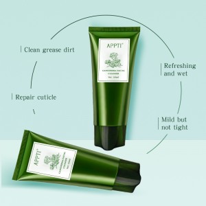 Private Label Antime Ancne Aloe Vera Face Smase Faceial Cleanser Ganoderma Essence Fash Wash