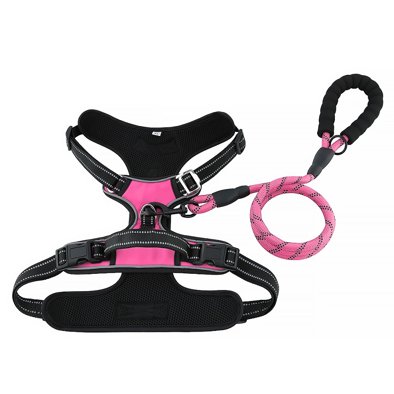 Пользовательская собака жилет отражающий нейлон большой пряжкой реверсивный реверсивный жгут с поводком