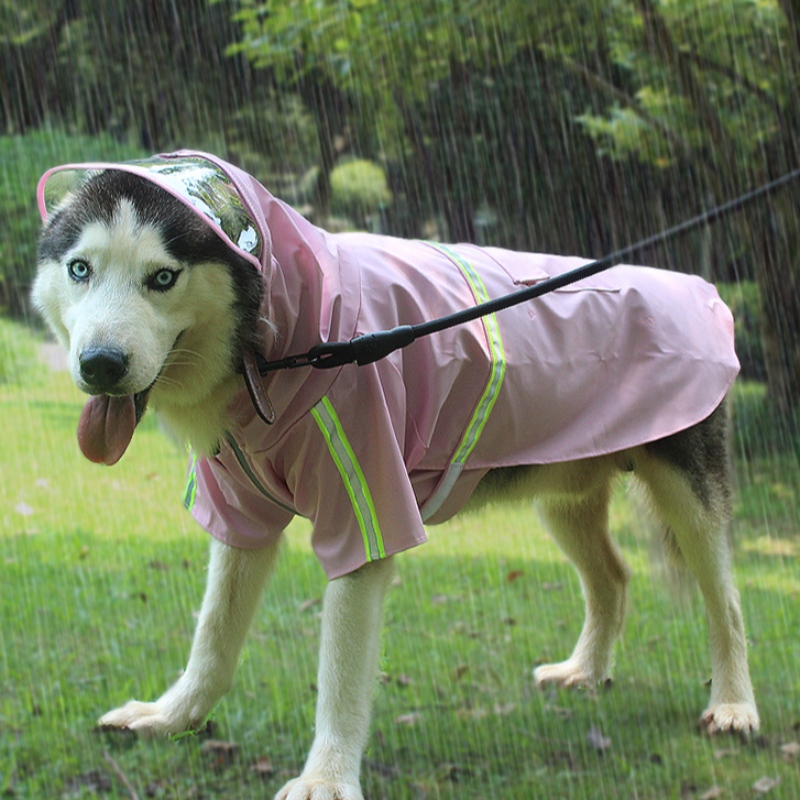 Китай Фабрика источника 2022 новое обновление собаки дождь пальто собака водонепроницаемый костюм собака одежда