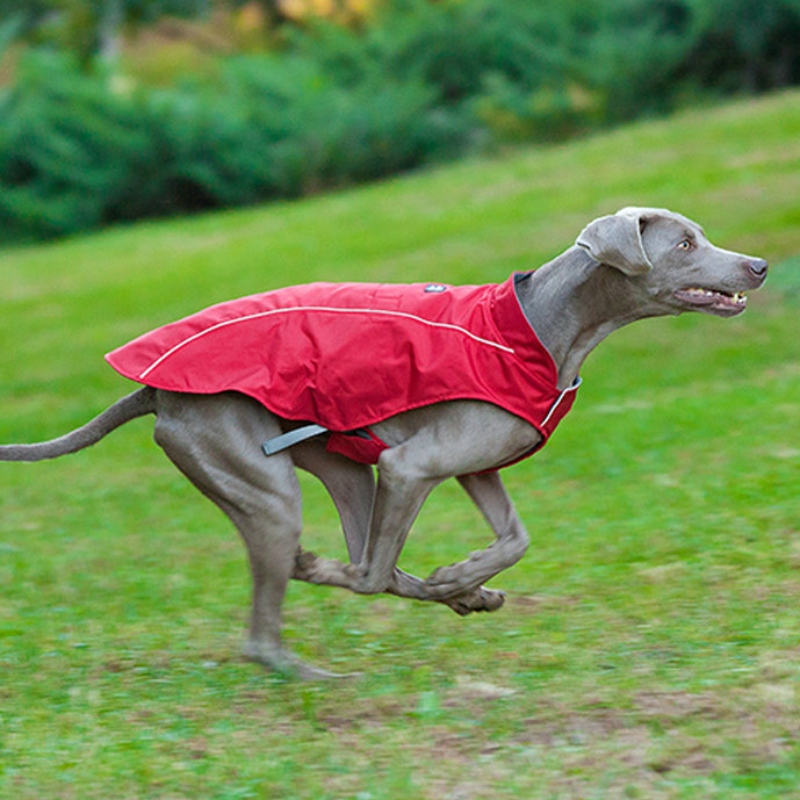 Классический стиль Светоотражающие собаки Водонепроницаемый Регулируемый Зимний Собак Куртка Реверсивный Легкий вес