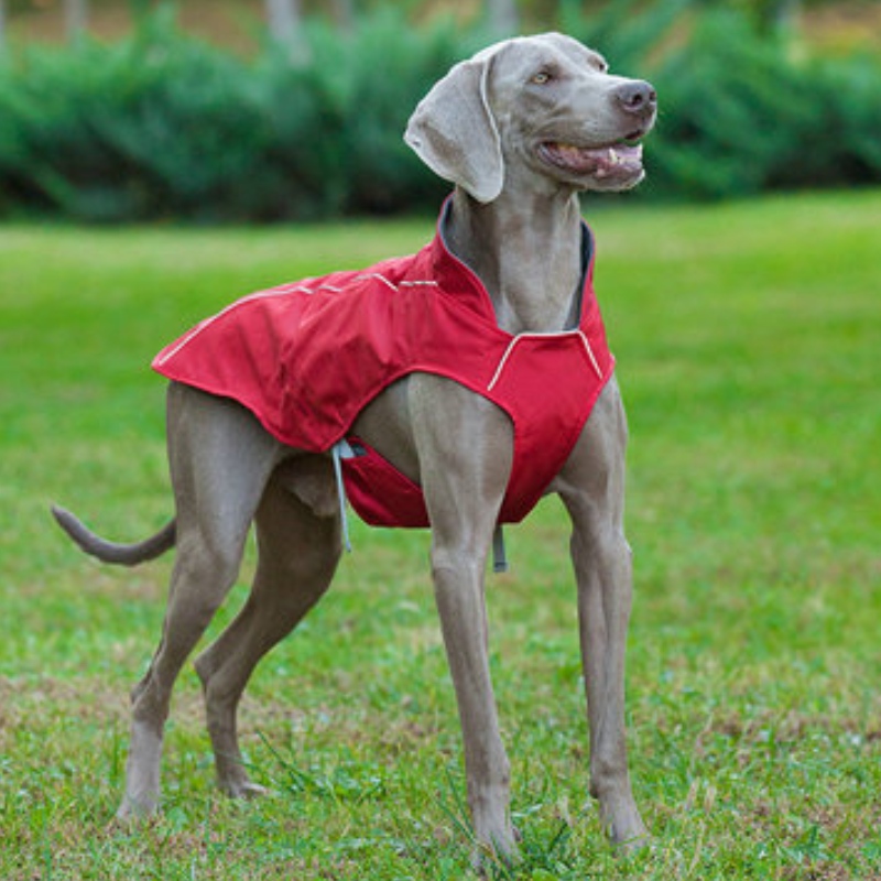 Классический стиль Светоотражающие собаки Водонепроницаемый Регулируемый Зимний Собак Куртка Реверсивный Легкий вес