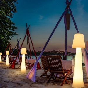 Фестиваль декоративный полиэтилен светодиодный светодиодные напольные тормы для садовой газонной вечеринки и на открытом возд...