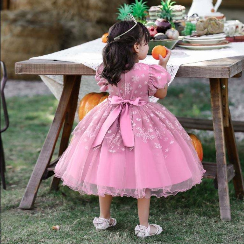 Baige Children Party Wedding Frock Girls Dritetding Drentle Drentle Drentless Floug