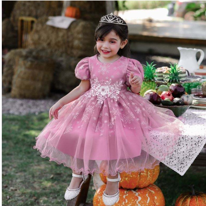 Baige Children Party Wedding Frock Girls Dritetding Drentle Drentle Drentless Floug