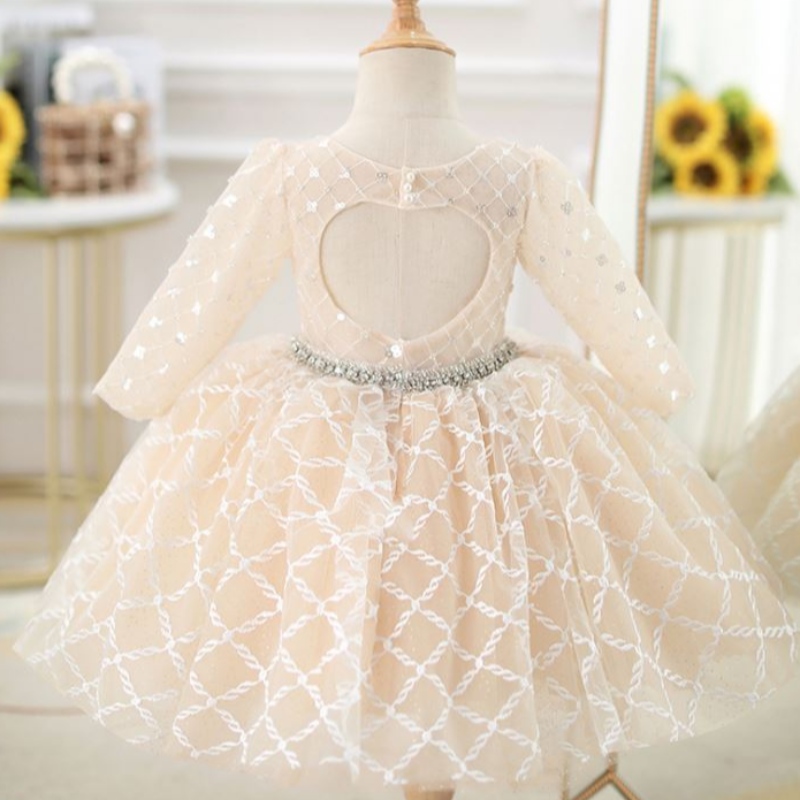 Baige Oemnumber Dress \\ Frong Princess Girl Fluffy Yarn Flower Piano Costum