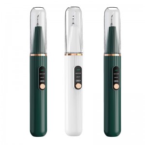 Ультразвуковое зубное исчисление, встроенная камера высокого определения и светодиодный свет с 3 режимами чистящих зубов Ультра...