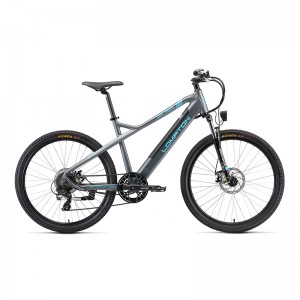 ТЕМНАЯ ЛОШАДКА