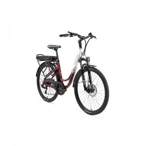 ПУТЕШЕСТВЕННИЦА