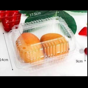 Фруктовая коробка с крышкой 175*140*90 мм hgf-600g