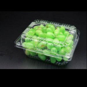 Фруктовая коробка с крышкой 195*155*85 мм hgf-650