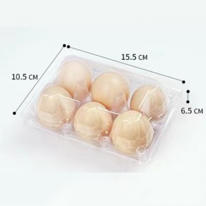 Лоток для яиц 155*105*65 мм 6 канавок