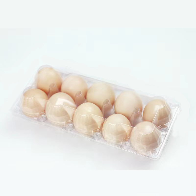 Лоток для яиц (среда) 240*100*63 мм 10 канавок