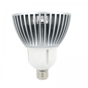 Светодиодный центр внимания