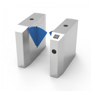 Восьмиугольные крылывые ворота (синяя тарелка)