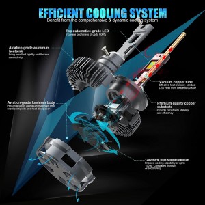 D4S/R светодиодные лампы фары