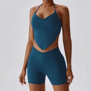 SC1065 2023 Новый пользовательский активный износный набор йога набор фитнеса v Склетка сзади для йоги шорты для йоги фитнес