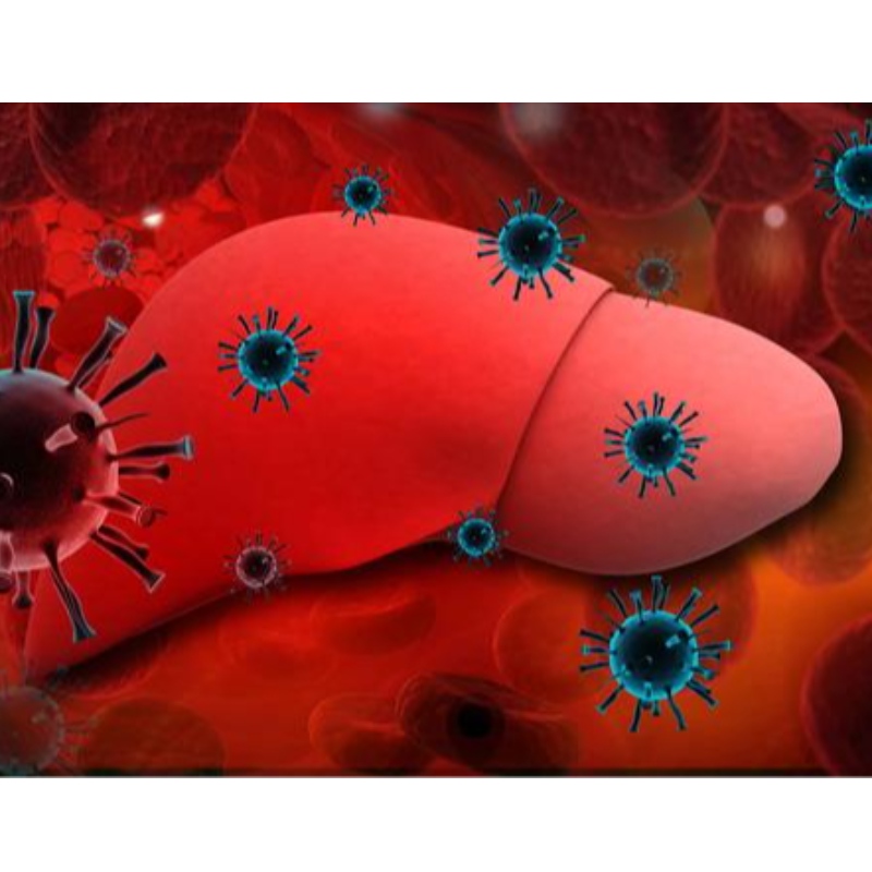 Университет Пармы: NMN улучшает хронический гепатит B