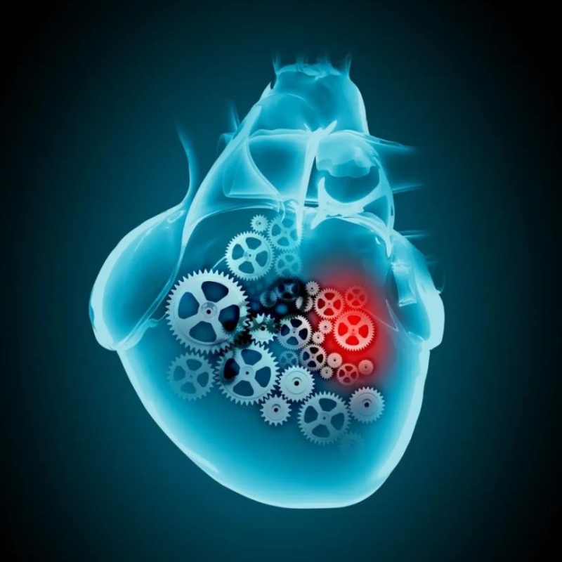 Исследовать прогресс NAD+в лечении сердечно -сосудистых заболеваний