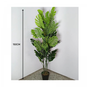 Основные растения