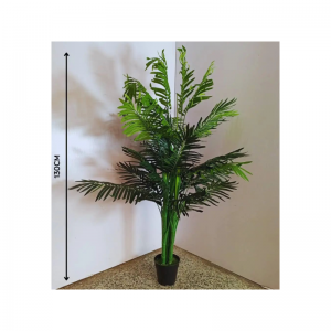 Основные растения