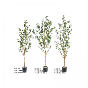 Оливер дерево