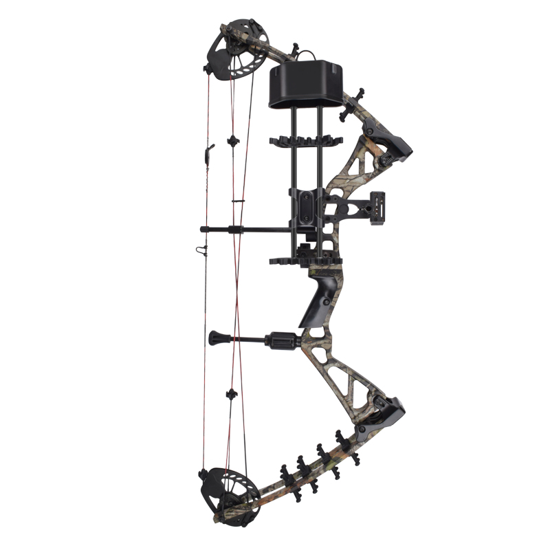 1629509172.jpg 19.jpg