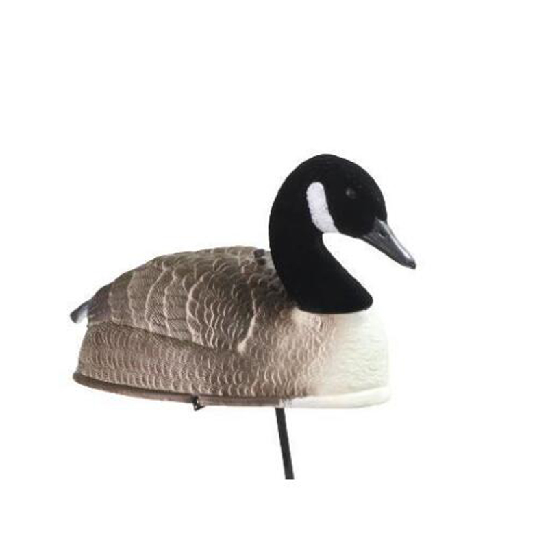 1633598120.jpg groose1-2.jpg