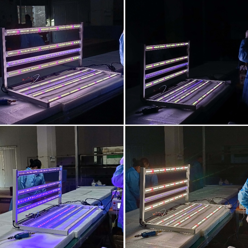 1703908084.jpg 4.jpg