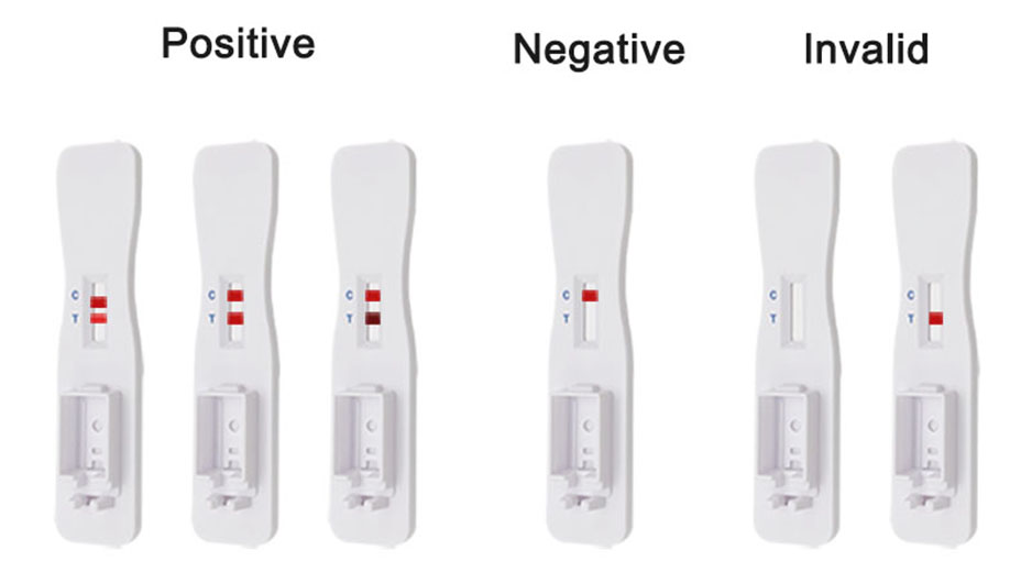 1615365121.jpg 6.jpg